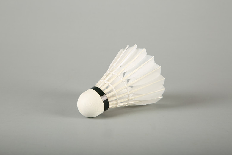Ling Mei 70 Badminton Shuttlecock